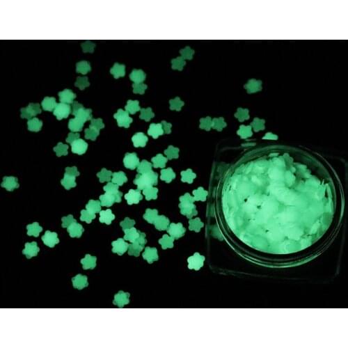 Luminous Sequins Glow In the Dark Glitters Resin Jewelry Findings Party Festival Nail Decorations Nail Art Acrylic Use DIY Craft