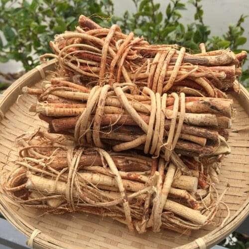 Hispid fig root (wu zhi mao tao gen), rich in minerals, improve human immunity, anti-aging