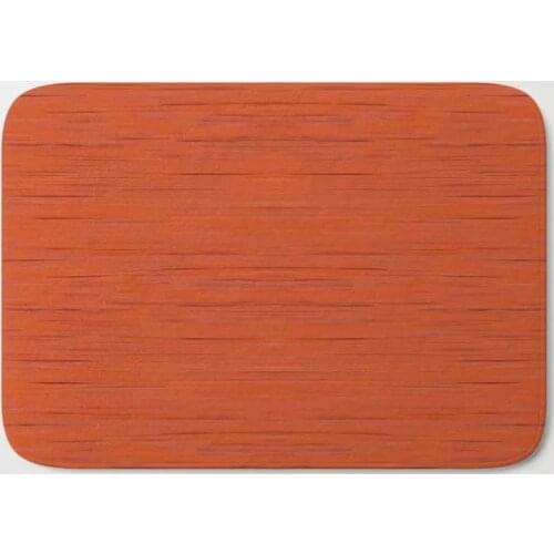 HOT Bathroom Rugs Rust Orange Bath Mat Flannel Absorbent Non Slip Doormat for Entrance Door