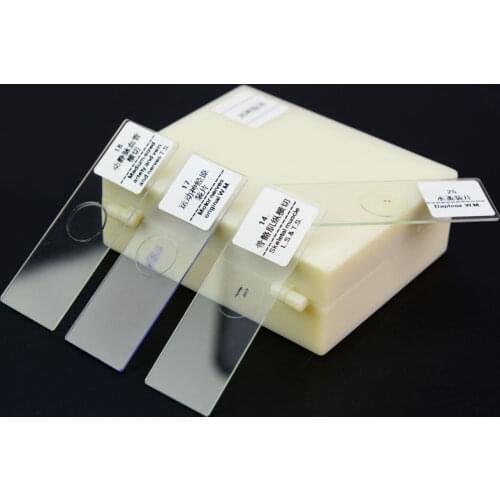 25 pcs Prepared Glass Microscope Slides for Children Student Biological Microscopes with Chinese and English Label