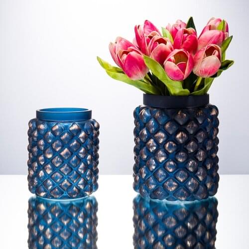 Creative Water Culture Glass Vase Living Room Decoration Dry Flower Sample Room Soft Decoration