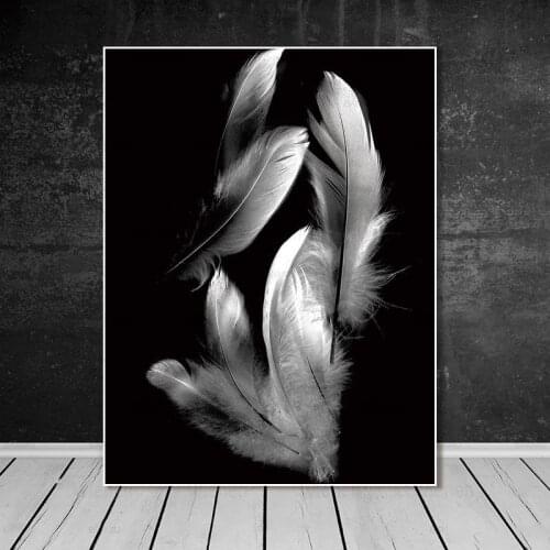 Abstract Feather Canvas Painting Black and White Wall Art Poster Prints Home Decor Picture for Living Room Interior No Frame