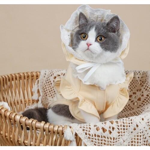 Summer Kitten Clothes Pet Thin Hooded Anti-lint cotton sleeveless vest Small Cat Persian Birman Ragdoll Cat Pet Supplies