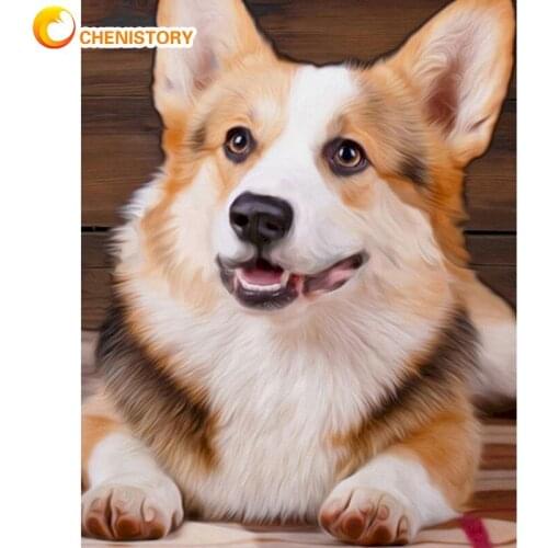 CHENISTORY Sleep Dog Animal Photo Paint By Numbers Kits For Adults Children HandPainted Diy Framed On Canvas Home Wall Artwork