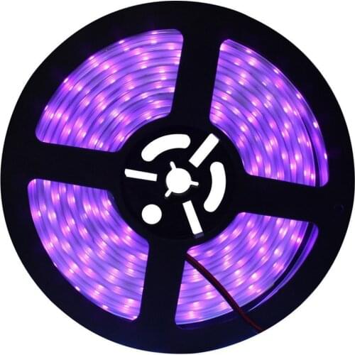 UV Led Strip SMD5050 Not Waterproof ribbon puple flexible light ultraviolet tape 300leds DC12V wave length 395-405nm