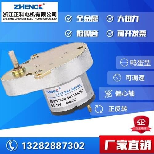 12 v and 24 v Dc Motor ZS - RI Duck Eggs Motor Pear-Shaped