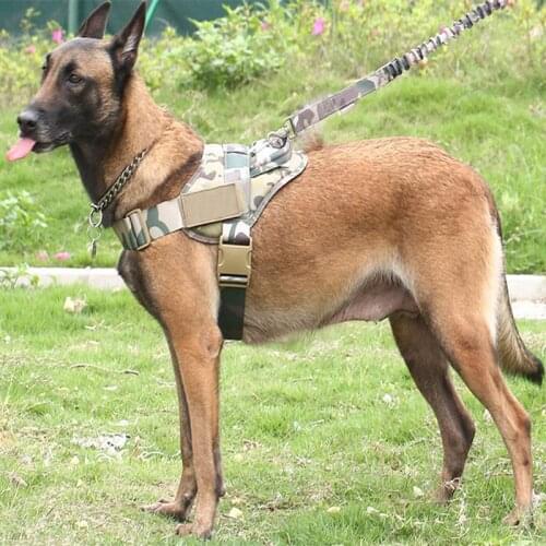 Dog Harness K9 Walking Adjustable Nylon Pet Dog Collar Vest Set Bungee Dog Leash Harness For Small Larges Dogs German Shepherd