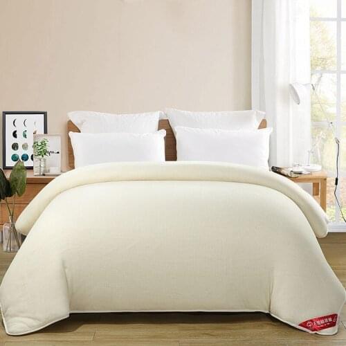 Super warm in winter XINJIANG100% cotton quilt core comfortable and skin-friendly thick blanket in autumn household cotton quilt