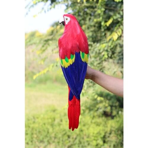 Large 60cm coloured red-blue feathers parrot foam&feathers parrot bird model.garden decoration gift w0886