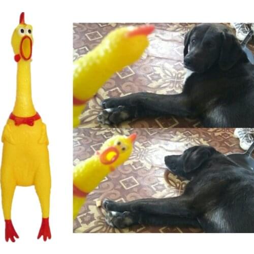 Funny Products for Dogs Pet Toys Creative Shrilling Decompression Tool Squeeze Sound Screaming Chicken Toys Shocking Toy 16cm