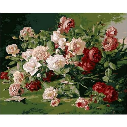 Frameless painting by numbers diy picture oil painting on canvas for home decor canvas painting 4050 white and red rose