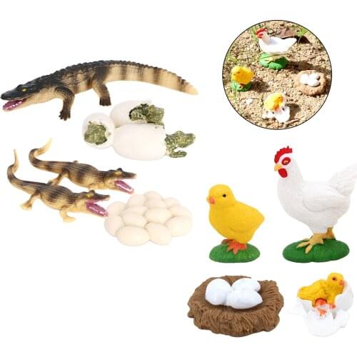2 Set Insects Growth Life Cycle Figure Model Playset Education Toy Role Play