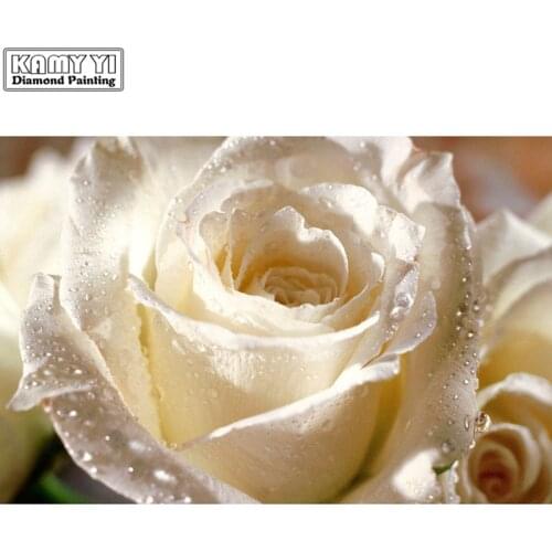 5D DIY Diamond embroidery Cross stitch White Rose Full Square/Round Diamond mosaic Diamond painting decoration HYY