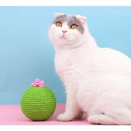 Cat Scratching Board Dog Toys Wooden Bottom Plate Straw Semi-Circular Grinding Claw Ball Kitten Cactuses Climbing Pet Supplies