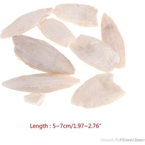1 Bag Cuttlebone Cuttlefish Sepia Bone Cuttle Fish Bird Food Calcium Pickstone Pet F25 21 Dropshipping