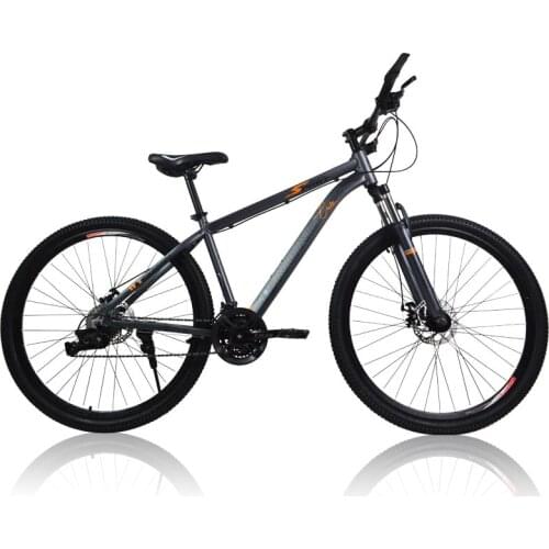 29 Inches Of Variable Speed Double Disc Brake Bicycles Adult Outdoor Cycling Road Mountain Bike