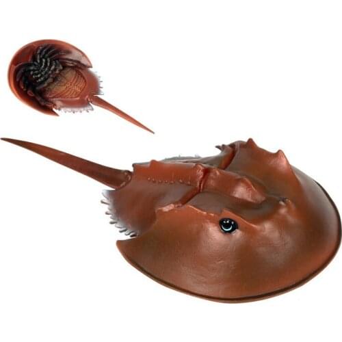 Marine Animal Model Figurines Toys Simulation Horseshoe Crab Chinese Horseshoe Crab PVC Action Figure Kids Educational Toy Gifts
