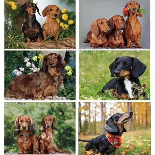 REDAPPLE Pet Supplies