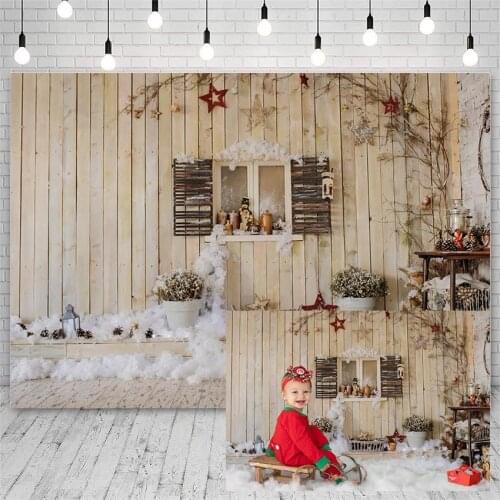 Avezano Backdrops Winter Merry Christmas Snowflake Window Outdoor Star Plants Decor Banners Photography Background Photo Studio