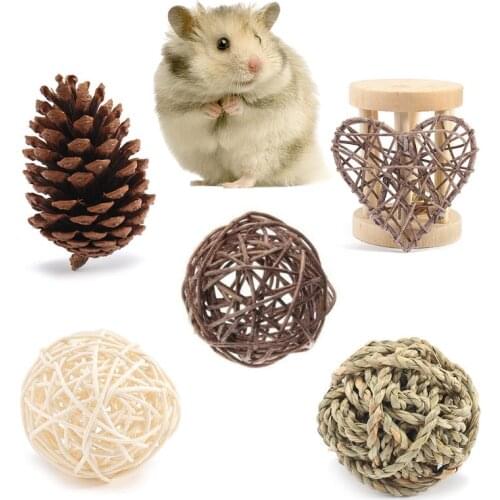 Small Animal Activity Toy,Pets Play Chew Toys for bunny Rabbits Guinea Pigs Gerb