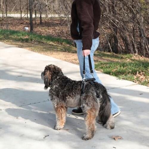 3-59Kg Pet Lifting Aid Dog Rear Portion Harness Older Injured Invalid Dogs Easy Walk Chain For Outdoor Bathroom Break 62365