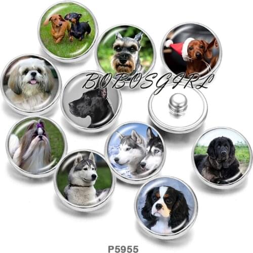 DOG 12mm/18mm/20mm/25mm/30mm Round Glass Cabochon Flat Back Making Findings P6000