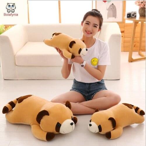 BOLAFYNIA Raccoon Software down cotton pillows Children Plush Stuffed Toys Baby Kid Toy doll for Christmas Birthday Gift