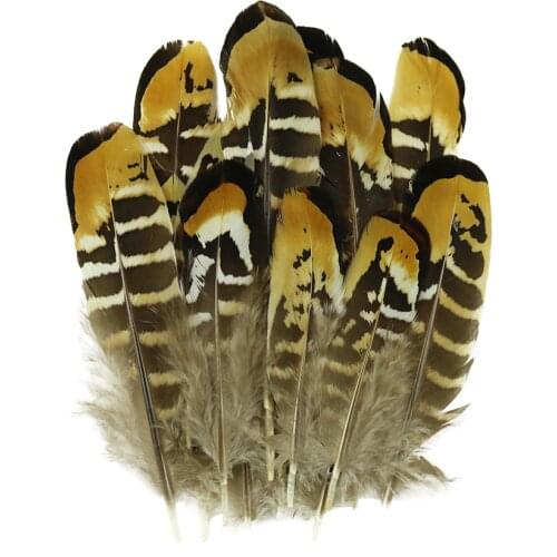Natural Pheasant Feathers In Hair Decoration 4-6 Inches/10-15Cm Plumes Carnival Accessory DIY Jewelry For Crafts Wholesale 10Pcs