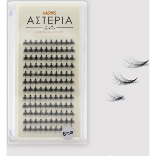 Professional 10d Fan Eyelashes Natural Soft C Curl Easy Fans Volume Eyelash Faux Mink Lashes Extension