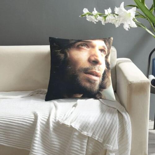 Camaron De pillowcase printed cushion cover sofa waist pillow pillow cover