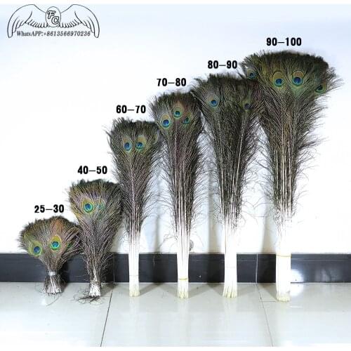50pcs/LotTop Quality Peacock Feather 25-70CM Beautiful Natural Peacock Eye Feather DIY Jewelry Decorative Deco Accessories Plume