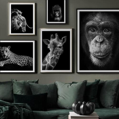 Black Background Animals Canvas Painting White Swan Cattle Lion Tiger Leopard Elephant Poster Wall Art Picture For Living Room