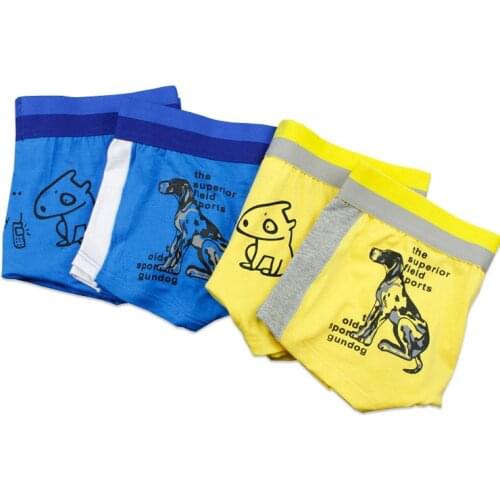 3pc Cartoon Print Cotton Shorts Boxers Tomboy Trans Les Elastic Waisted Underwear Lesbian Underpants Women Boyshort Panties