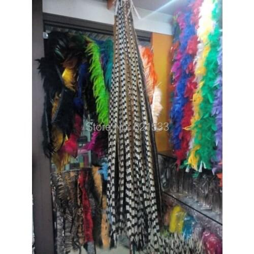 Long!10pcs Reeves(Venery)Pheasant Tail Feathers 100-110cm,natural brown / loose feathers bulk