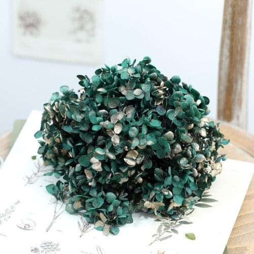 Dried flower Emerald gold plating 20G DIY material Grade A Anna Folium Hydrangea polychrome wedding decoration table