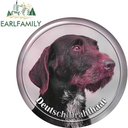 EARLFAMILY 13cm x 12.9cm for German Wirehaired Pointer Dogs Car Accessories Motorcycle Car Decals Bumper Window Stickers