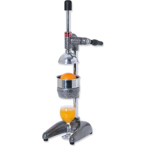 Professional Type Fruit and Pomegranate Juicer