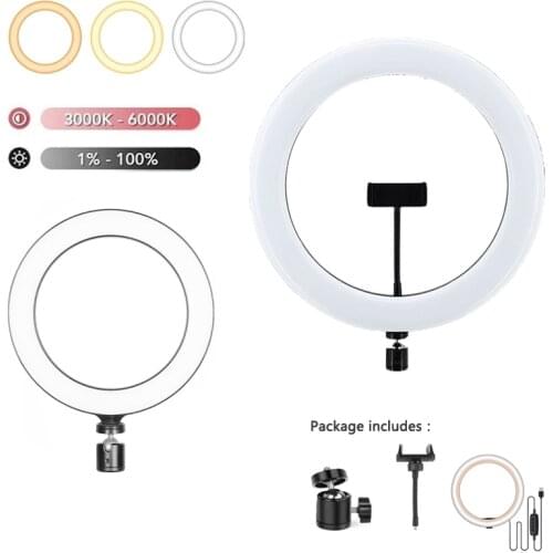 6/10 in LED Fill Ring Light With Phone Holder Clip LED Round Photography Light Remote Dimmable For TikTok YouTube VK Live Video