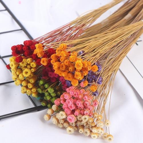 50pcs / lot Happy Flower Natural Dried Flower Bouquet Home Decoration Real Flower Diy Arrangement Flower Shooting Props SCIE