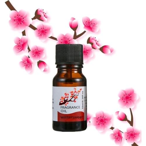 10ML Wintersweet Pure Natrual Essential Oils Rose Aromatherapy Diffuser Lavender Jasmine Mint Orange Cerasus cherry blossoms Oil