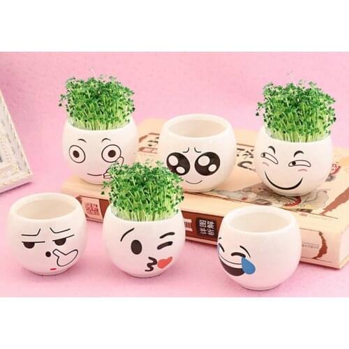Cute Expression White Porcelain Potted Diy Long Grass Head Doll Cartoon Doll Meat Cartoon Student Gift Micro Landscape