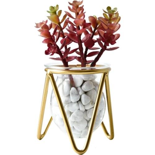 Hydroponic Plant Pot with Transparent Glass Container, Geometric Wrought Iron Decoration