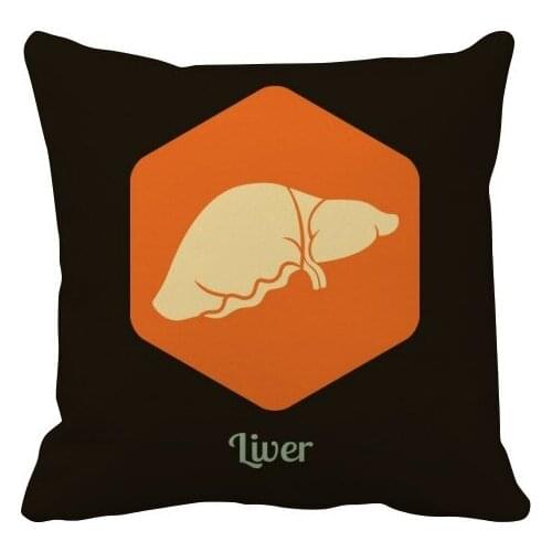 Body Organs Liver Orange Throw Pillow Square Cover