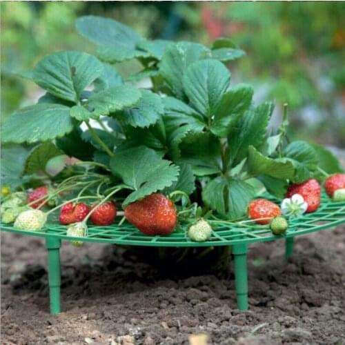 Strawberry Racks Balcony Vegetable Racks Plant Climbing Pillars Gardening Racks