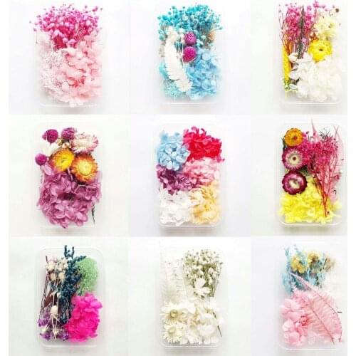 1x Real Dried Flower Dry Plants DIY Aromatherapy Candle Epoxy Resin Pendant Necklace Jewelry Making Jewelry Making Supplies