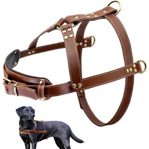 Soft Leather Dog Harness Brown Genuine Leather Medium Large Dog Harnesses Adjustable for Pitbull Alaskan Walking Training