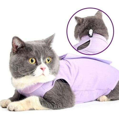 1 Pcs Cat Professional Recovery Suit For Abdominal Wounds or Skin Diseases Breathable After Surgery Wear For Pets Wholesale X2