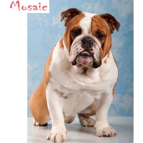 Full Diamond Embroidery,5d diy Diamond Painting Cross Stitch"English Bulldog"Animal dog,Square Diamond Mosaic picture home decor