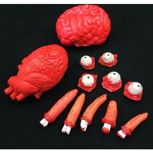 Simulation of Human Organs Halloween Decorations Terrorist Bloody Brain Heart Broken Fingers Eyes Party Toys Movie Theme Supply