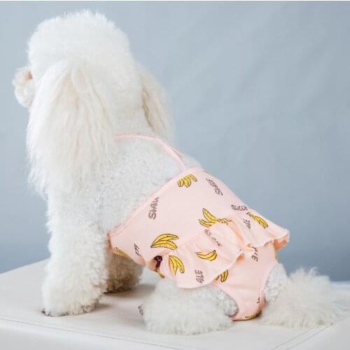 Dots Pet Dog Shorts Diaper Sanitary Physiological Pants Washable Female Short Panties Menstruation Underwear Briefs